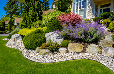 Озеленение участка — Гринтэк